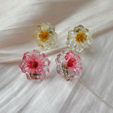 Daiiibabyyy  Dried Daisy Transparent Resin Stud Earrings for Women Exquisite Sweet Ear Studs Cute Daily Casual Versatile Jewelry Gifts 2025