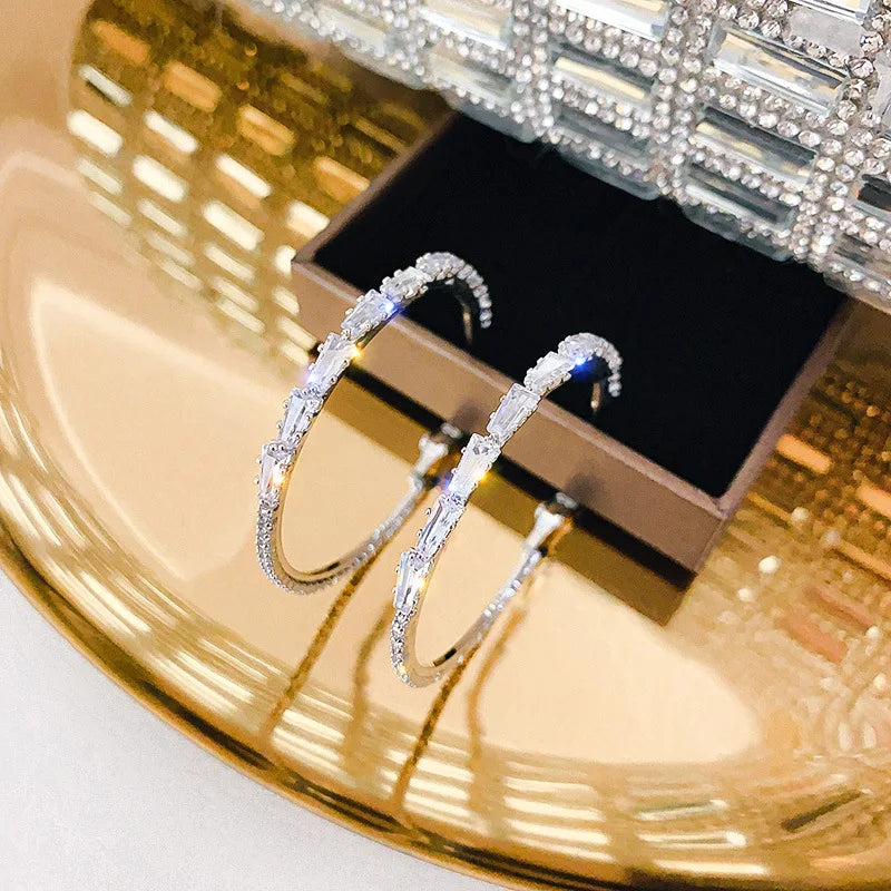 Daiiibabyyy  Silver Needle Zircon Leaf Geometric Circle Earrings European and American Fashion High-end Earring Daily Commuting Jewelry