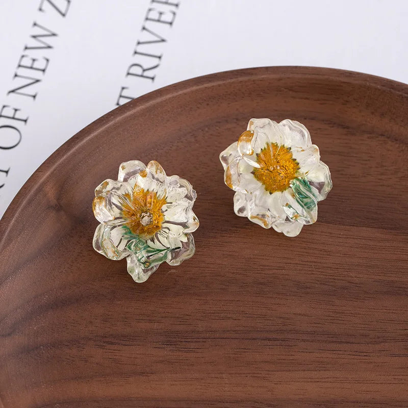 Daiiibabyyy  Dried Daisy Transparent Resin Stud Earrings for Women Exquisite Sweet Ear Studs Cute Daily Casual Versatile Jewelry Gifts 2025