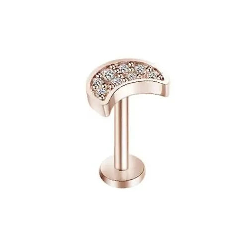 DAIIIBABYYY  -  1Piece Flower Moon Snake CZ Nose Hoop Butterfly Leaf Daith Conch Helix Stud Earrings Internal Thread Piercing Surgical Steel 16G
