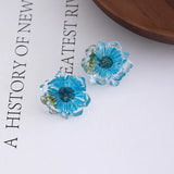 Daiiibabyyy  Dried Daisy Transparent Resin Stud Earrings for Women Exquisite Sweet Ear Studs Cute Daily Casual Versatile Jewelry Gifts 2025