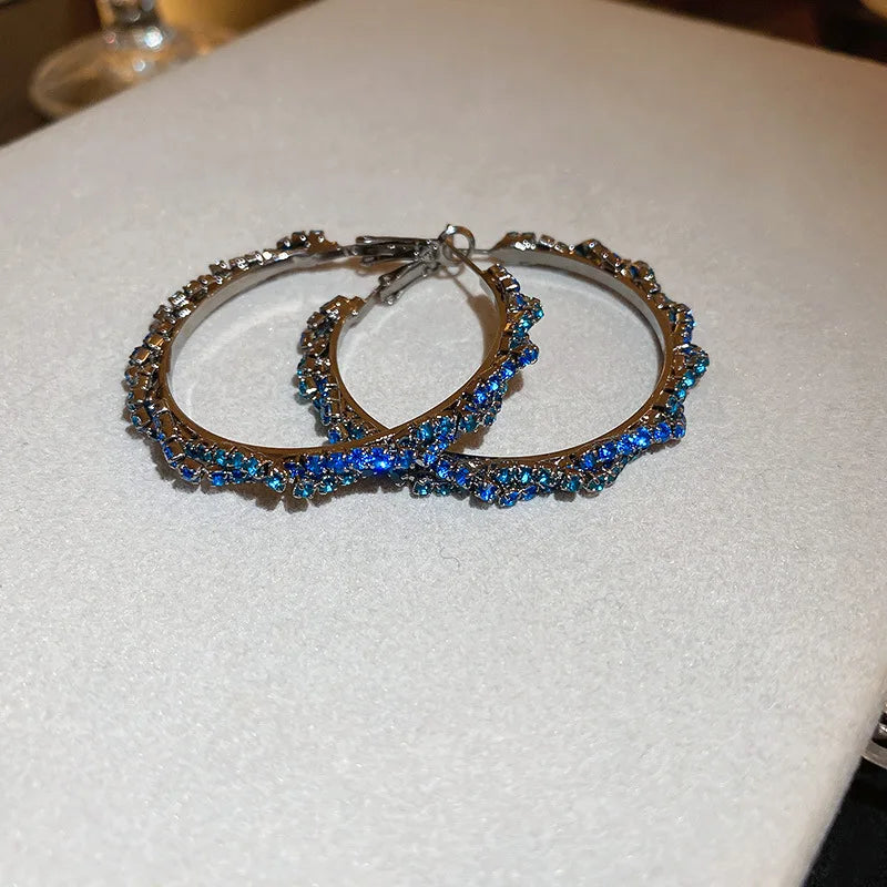 Daiiibabyyy  Silver Needle Zircon Leaf Geometric Circle Earrings European and American Fashion High-end Earring Daily Commuting Jewelry