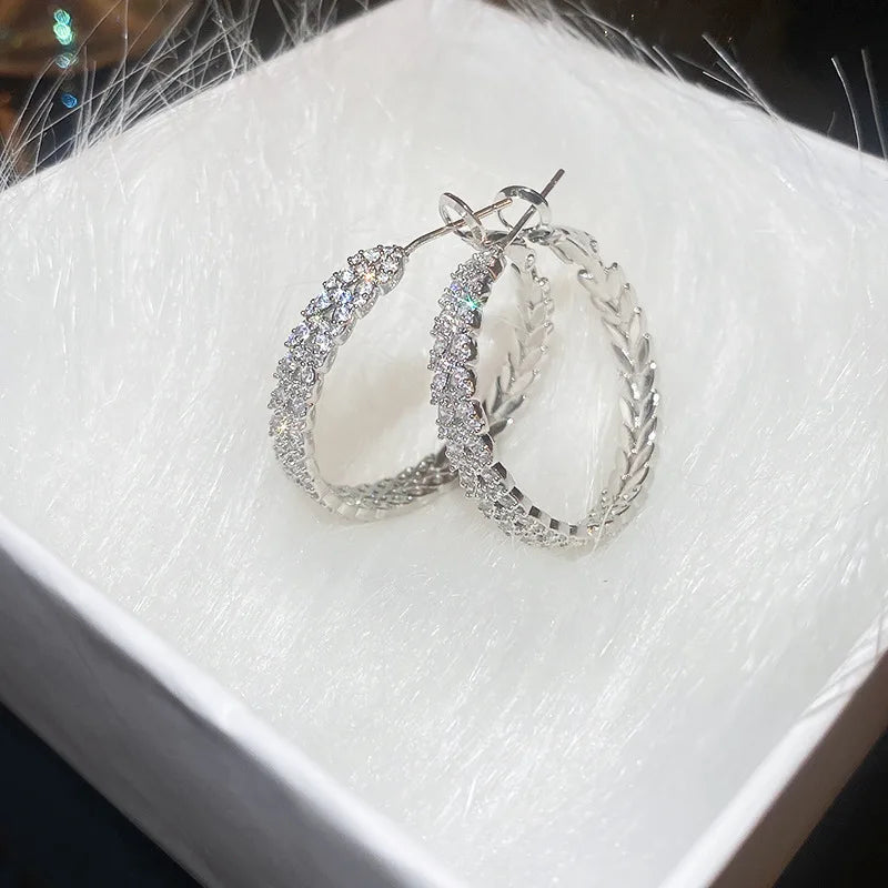 Daiiibabyyy  Silver Needle Zircon Leaf Geometric Circle Earrings European and American Fashion High-end Earring Daily Commuting Jewelry