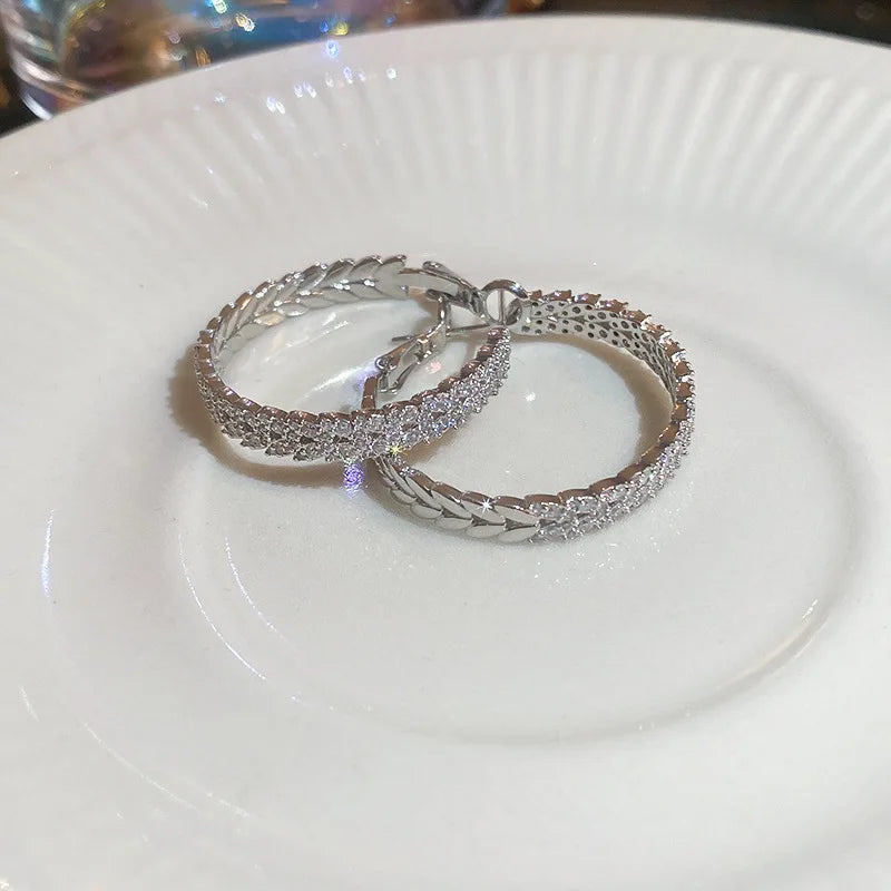 Daiiibabyyy  Silver Needle Zircon Leaf Geometric Circle Earrings European and American Fashion High-end Earring Daily Commuting Jewelry