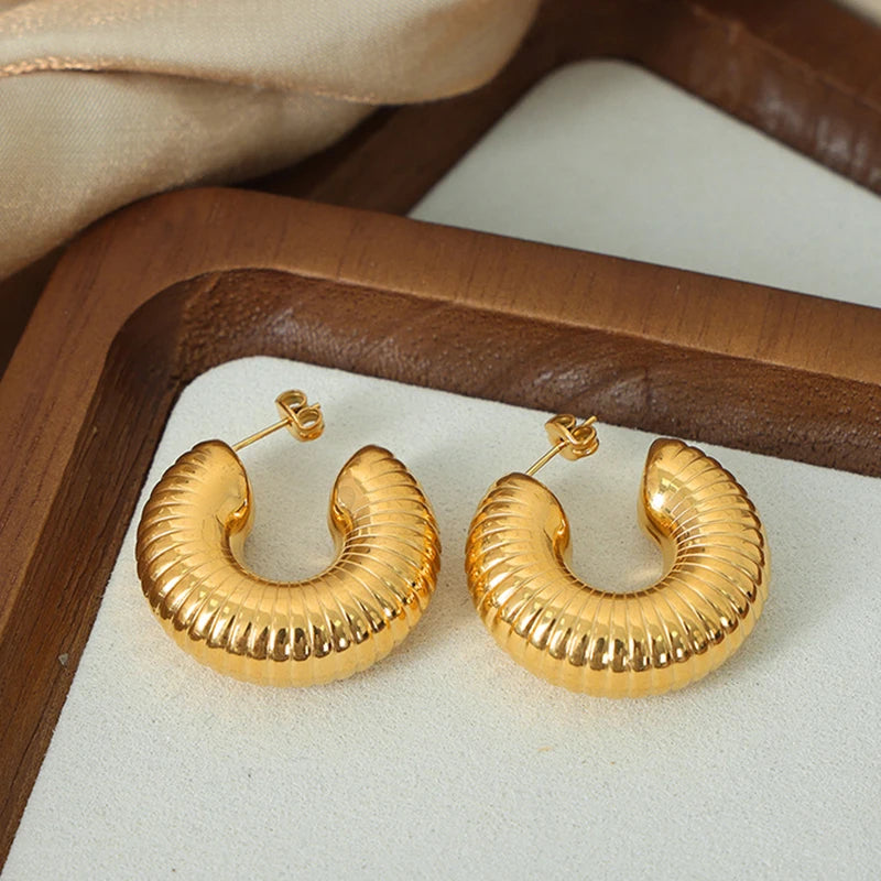 Daiiibabyyy  New Design Round Metal Hoop Earrings Simple Stylish Thick Brass Hollow Circle Earring Ear Buckle Minimalist Trend Daily Earrings