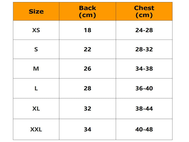 Puppy Girl Dog Denim Clothes Skirt Summer Dress For Dogs Chihuahua Small Breeds Of Dog Dress Poodle York Pomeranian Pet Clothing