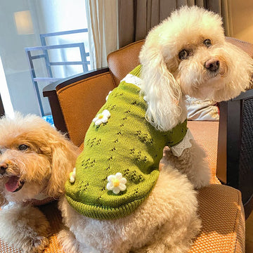 Puppy Dog Pink Green Knit Sweater Wool Flower Decor Autumn Winter Warm Sweater For Small Medium Dog Pet Clothes Teddy Poodle daiiibabyyy