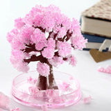 Daiiibabyyy DIY Growing Tree Paper Sakura Crystal Trees Desktop Cherry Blossom Toys Paper Tree Gift Novelty Toy Exploring Science