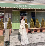 DAIIIBABYYY  -  Korean Chic Skirts Spring Gentle Temperament Long Skirt Embroidery Hook Flower High Waist Skirt Thin Lace Female Falda