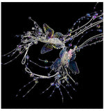 Daiiibabyyy  New Transparent Butterfly Beads Bridal Headwear Beaded Wedding Hairband Accessories Original Crystal Headwear for Women