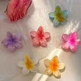 Daiiibabyyy Gradient 8cm Large Flower Acrylic Hair Clip for Women Sweet Hairpins Hair Claws Crab Clamp Barrettes Hawaiian Hair Accessories