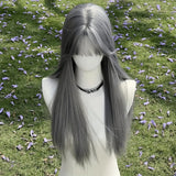 Daiiibabyyy  New Silver Gray Long Straight Hair Chemical Fiber Synthetic Wig Neat Bangs Matte Long Straight Hair Wig Women's Universal Wig