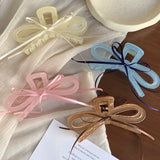 DAIIIBABYYY  -  South Korea's new acrylic large bow streamer grab clip back head hairpin French disc hair shark clip headdress