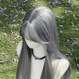 Daiiibabyyy  New Silver Gray Long Straight Hair Chemical Fiber Synthetic Wig Neat Bangs Matte Long Straight Hair Wig Women's Universal Wig