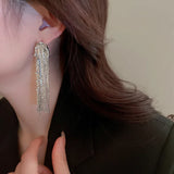 Daiiibabyyy New S925 Version Tassel Stud Earrings Shiny Zircon Snake bone Chain Earring For Women Wedding Party Gift Fine Jewelry Wholesal
