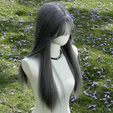 Daiiibabyyy  New Silver Gray Long Straight Hair Chemical Fiber Synthetic Wig Neat Bangs Matte Long Straight Hair Wig Women's Universal Wig
