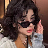Daiiibabyyy Y2K Cat Eye Style Sunglasses for Women Vintage Gradient Sun Glasses Shades Female Retro Designer Sexy Cat Eye Mirror Sunglass