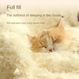 DAIIIBABYYY  -  Cat Bed for Winter Kitten Warm Cushions Fluffy Accessories Cats Cartoon Mat Plush Things Puppy Houses and Habitats House All Pet