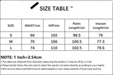 DAIIIBABYYY  -  Brown Leopard Print Casual Pants Autumn Winter Warm Lace-up Low Rise Straight Pants for Women y2k Streetwear Trousers New