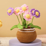Daiiibabyyy  Crochet Flower Kit for Beginners With Video Tutorial Cotton Knitting Yarn Thread Needles Hooks DIY Tools Set Accessories
