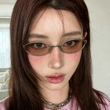 Daiiibabyyy  Retro Cat Eyes Metal Frame Sunglasses Street Photography Glasses Outdoor Travel Sun Protection Blue Light Blocking Eyeglasses