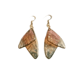 Daiiibabyyy  Zen Wing Fairy Clear Butterfly Wings Earrings Ear Hook Temperament Dangle Earrings Shiny Women Ear Stud Girl