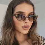 Daiiibabyyy  New Summer Minimalist Cat Eye Sunglasses Fashion Women's Summer Outdoor UV Resistant Sun Glasses Half Frame Kitten Eye Glasses