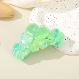 Daiiibabyyy  Flower Korean Hair Claw Women Simple Acetic Acid Hair Crab Hairpin Fashion Hair Accessories Festival Gift Shark Clip Headwear