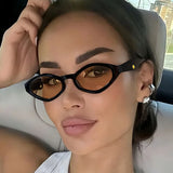 DAIIIBABYYY  -  Vintage Cat Eye Sunglasses Women Men 2025 Brand Designer Fashion Goggle Sun Glasses Female Trends Shades Outside Eyewear UV400