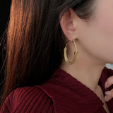 Daiiibabyyy  Vintage Metal Oval Earrings For Women Simple Geometric Circle Pendant Earrings Casual Daily Party Jewelry Accessrise Gifts