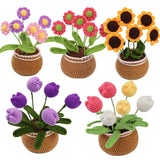 Daiiibabyyy  Crochet Flower Kit for Beginners With Video Tutorial Cotton Knitting Yarn Thread Needles Hooks DIY Tools Set Accessories