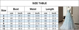 Daiiibabyyy  Fairy Blue 3D Followers Wedding Dress Women Photo Shoot A-line Evening Gown Dress Light Luxury Floor-Length Birthday Party Dress