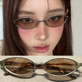 Daiiibabyyy  Women Y2K Cat Eye Old Money Style Sunglasses Small Frame Oval Sunglasses UV Resistant UV400 High-end Metal Narrow Frame