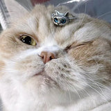 Daiiibabyyy 2024 New Cute Green Monster Rings Women Fashion Sweet Two Color Cat Eyes Open Couple Ring Wedding Finger Accessories Jewelry