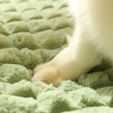 DAIIIBABYYY  -  Calming Dog Beds for Small Large Dogs Luxury Dog Mat with Pillow Removable Cover Foam Pet Mat Cushion Sleeping Beds Soft