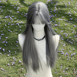Daiiibabyyy  New Silver Gray Long Straight Hair Chemical Fiber Synthetic Wig Neat Bangs Matte Long Straight Hair Wig Women's Universal Wig