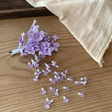 Daiiibabyyy  Fairy Irises Flower Long Fringe Acrylic Imitation Pearl Duckbill Hair Clips for Women Temperament Bridal Romantic Accessories