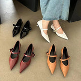 Daiiibabyyy 2024 New Autumn Shoes Women Thin Low Heel Pumps Fashion Brand Elegant Pointed Toe Shallow Mary Janes Shoes Wedding Female Mujer