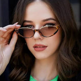 Daiiibabyyy  New Summer Minimalist Cat Eye Sunglasses Fashion Women's Summer Outdoor UV Resistant Sun Glasses Half Frame Kitten Eye Glasses