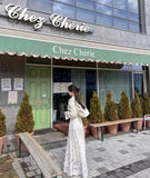 DAIIIBABYYY  -  Korean Chic Skirts Spring Gentle Temperament Long Skirt Embroidery Hook Flower High Waist Skirt Thin Lace Female Falda
