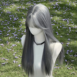Daiiibabyyy  New Silver Gray Long Straight Hair Chemical Fiber Synthetic Wig Neat Bangs Matte Long Straight Hair Wig Women's Universal Wig