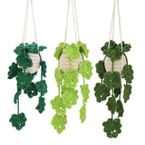 Daiiibabyyy Crochet Hanging Plant Kit for Beginners With Instruction Knitting Yarn Thread Needles Hooks Easy Knit Accessories Set