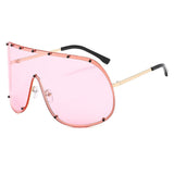 Daiiibabyyy  Large Frame Polarized Sun Glasses Fashionable New Eye Protection Sunglasses Women's Sunglasses Outdoor Driving Windproof Sand
