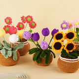 Daiiibabyyy  Crochet Flower Kit for Beginners With Video Tutorial Cotton Knitting Yarn Thread Needles Hooks DIY Tools Set Accessories