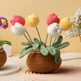 Daiiibabyyy  Crochet Flower Kit for Beginners With Video Tutorial Cotton Knitting Yarn Thread Needles Hooks DIY Tools Set Accessories