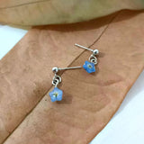 Daiiibabyyy  Tiny Blue Forget Me Not Flower Earrings Simple Dried Floral Earring Jewelry Gifts for Mom, Friends