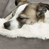DAIIIBABYYY  -  Orthopedic Dog Bed Machine Washable with Hooded Blanket Winter Warm Waterproof Dirt Resistant Cat Puppy House Cuddler dog beds