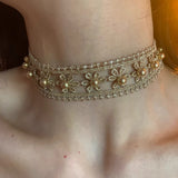 Daiiibabyyy  Champagne Pearl Knitted Hollow Flower Lace Clavicle Chain Elegant Sweet Choker Necklace for Women Party Fashion Jewelry