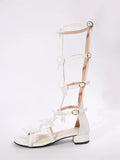 DAIIIBABYYY  -  Big size 43 Summer Sandals Chic Bow knot Gladiator Sandals Women Comfortable Zipper Outdoor Beach Holiday Mid heels Shoes