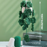 Daiiibabyyy Crochet Hanging Plant Kit for Beginners With Instruction Knitting Yarn Thread Needles Hooks Easy Knit Accessories Set